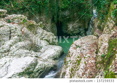 Waterfall in the green forest. Mountain river with flowing water. Waterfall in the green forest. Mountain river with flowing water. 137259333