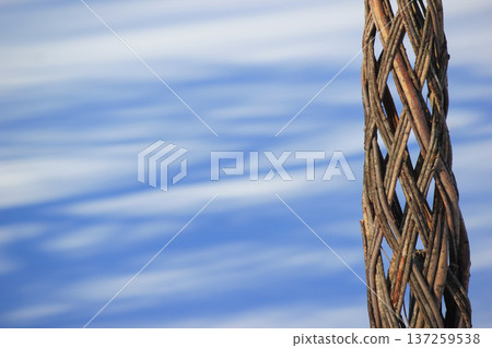 Intricate woven tree trunk pattern against a soft blue and white winter snow background in a park. Intricate woven tree trunk pattern against a soft blue and white winter snow background in a park. 137259538