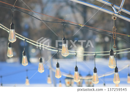 Vintage Edison light bulbs hanging on a metal frame in bright outdoor sunlight for event decoration. 137259545