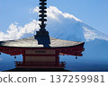 日本 137259981