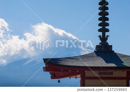fuji, spring, mountain 137259983
