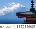 日本 137259985