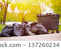 Lots of black garbage bags near the container in the city park. High quality photo 137260234