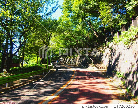 The contrast of shadows and colors on the lush green slopes of Tokyo. Illustrated style photo. The contrast of shadows and colors on the lush green slopes of Tokyo. Illustrated style photo. 137260256