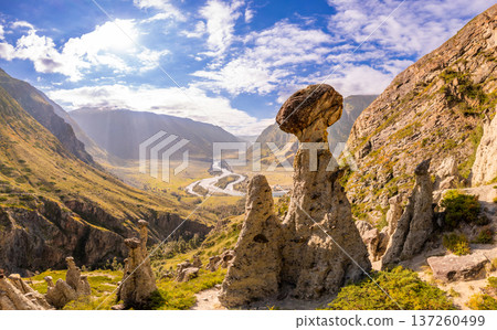 Aerial panaramic view to Natural formations stone mushrooms in Akkurum tract against blue sky, rock formations of a bizarre shape in sunny day. Ulagan Chulyshman river Valley, Altai Republic, Russia 137260499