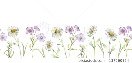 Meadow wildflowers in soft watercolor style seamless border on white. Pastel flowers print for design. Summer garden illustration for wedding. White and purple blooms hand drawn repeat background. Meadow wildflowers in soft watercolor style seamless border on white. Pastel flowers print for design. Summer garden illustration for wedding. White and purple blooms hand drawn repeat background. 137260554