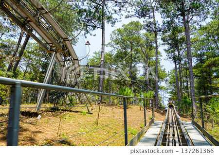 Alpine Coaster Track Through Pine Trees at Datanla Waterfall Adventure Park in Da Lat, Vietnam Alpine Coaster Track Through Pine Trees at Datanla Waterfall Adventure Park in Da Lat, Vietnam 137261366