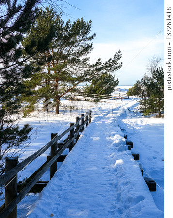 Snow Covered Wooden Walkway Leading to Baltic Sea Coast in Winter Snow Covered Wooden Walkway Leading to Baltic Sea Coast in Winter 137261418
