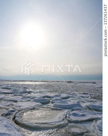 Frozen Baltic Sea Coast with Snowy Drift Ice Under Pale Winter Sky Frozen Baltic Sea Coast with Snowy Drift Ice Under Pale Winter Sky 137261437