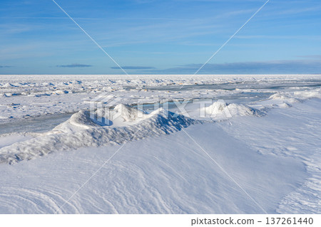 Frozen Baltic Sea Coast with Snow Drifts and Ice Formations in Winter Sunlight 137261440