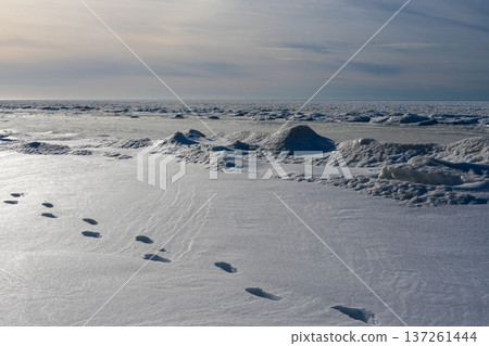 Footprints in Deep Snow Along Frozen Baltic Sea Winter Coastline 137261444