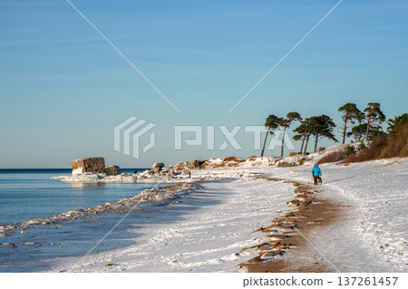 Snowy Beach and Icy Baltic Sea Coastline in Liepaja Latvia 137261457