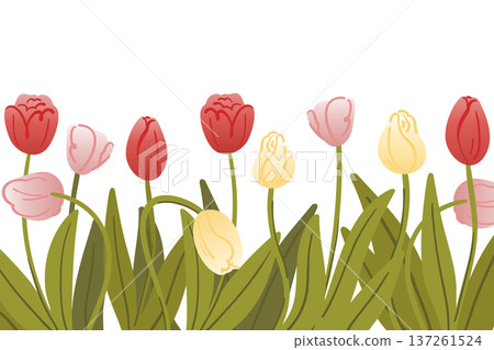 Line of blooming spring tulips on white background with gradient, pink, yellow and red buds, Easter decorations 137261524