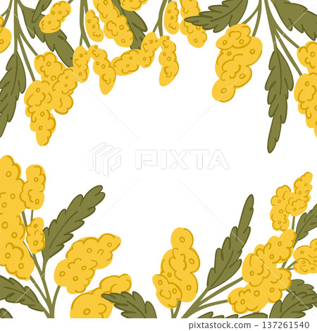 Easter frame for decoration and congratulations with branches of yellow mimosa Easter frame for decoration and congratulations with branches of yellow mimosa 137261540