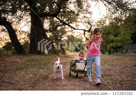 Girl pulling her twin sister in wagon with dog running alongside in park during sunset 137263182