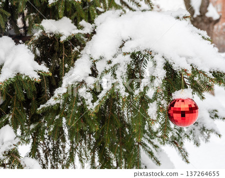 snow-covered fir tree and red christmas ball 137264655