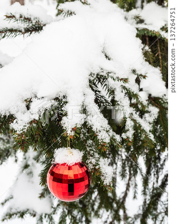 red christmas ball on snowy branch of fir-tree 137264751
