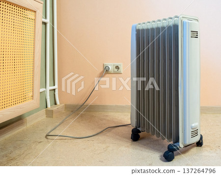 oil heater and heating radiator with straw screen 137264796