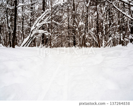 surface of ski track in deep snow in snowy forest surface of ski track in deep snow in snowy forest 137264838