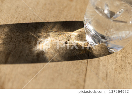 Abstract shadow from transparent bottle playing on wooden surface in bright sunlight. Abstract shadow from transparent bottle playing on wooden surface in bright sunlight. 137264922