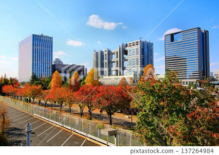 城市景觀中的秋色…濱水區中心的秋葉 城市景觀中的秋色…濱水區中心的秋葉 137264984