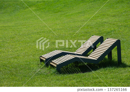 Modern wooden sun loungers on green lawn 137265166