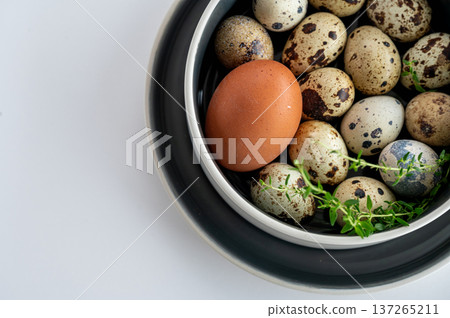 Assortment of natural eggs presented in ceramic bowl on neutral background. Assortment of natural eggs presented in ceramic bowl on neutral background. 137265211