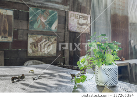 the scene yields to a nostalgic backdrop of aged timber and corrugated metal, adorned with rusted vintage signs that whisper local histories. The atmosphere, effortless and airy, perfectly weds rustic the scene yields to a nostalgic backdrop of aged timber and corrugated metal, adorned with rusted vintage signs that whisper local histories. The atmosphere, effortless and airy, perfectly weds rustic 137265384