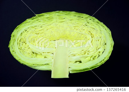 捲心菜 137265416