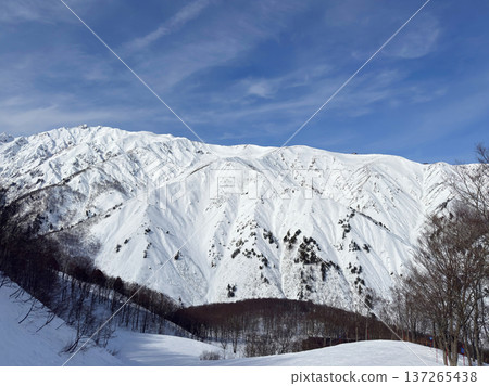 白馬八方一號 - 野外滑雪者攀登的雪山和藍天 白馬八方一號 - 野外滑雪者攀登的雪山和藍天 137265438