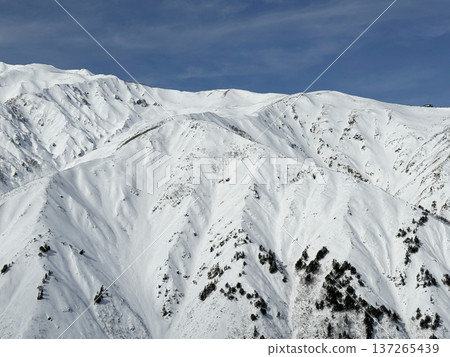 白馬八方一號 - 野外滑雪者攀登的雪山和藍天 白馬八方一號 - 野外滑雪者攀登的雪山和藍天 137265439