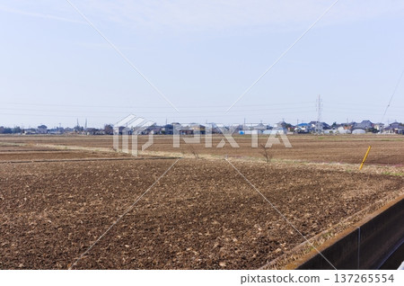 2026年3月,茨城縣筑波未來市伊丹水門附近 2026年3月,茨城縣筑波未來市伊丹水門附近 137265554