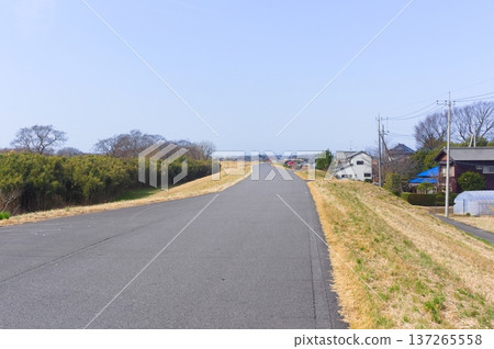 2026年3月,茨城縣筑波未來市伊丹水門附近 2026年3月,茨城縣筑波未來市伊丹水門附近 137265558