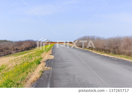 Around the Tone River Cycling Road in Toride City, Ibaraki Prefecture, March 2026 137265717