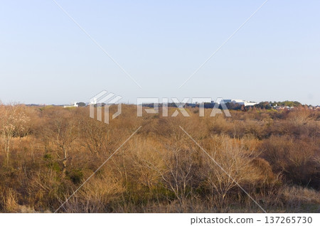 The Tone River seen from Otone Bridge in Abiko City, Chiba Prefecture, March 2026 137265730