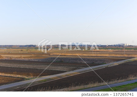 2026年3月,千葉縣阿比子市大根橋附近 2026年3月,千葉縣阿比子市大根橋附近 137265741