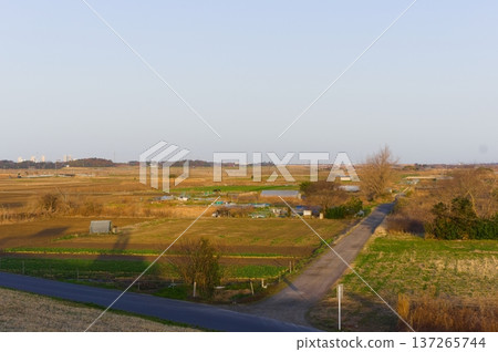 Around Otone Bridge, Abiko City, Chiba Prefecture, March 2026 137265744