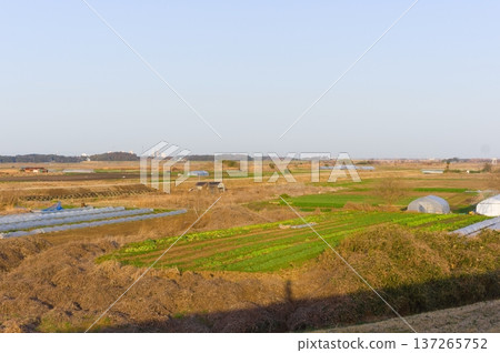 Around Otone Bridge, Abiko City, Chiba Prefecture, March 2026 Around Otone Bridge, Abiko City, Chiba Prefecture, March 2026 137265752