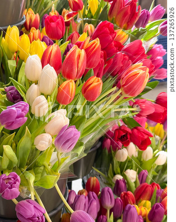 Colorful bouquets of tulips and roses displayed in flower shop market stall. Celebration, romance, spring festival atmosphere and floral decoration concept. 137265926