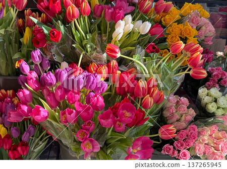 Colorful bouquets of tulips and roses displayed in flower shop market stall. Celebration, romance, spring festival atmosphere and floral decoration concept. Colorful bouquets of tulips and roses displayed in flower shop market stall. Celebration, romance, spring festival atmosphere and floral decoration concept. 137265945