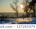 Winter Sunrise Over a Snowy Landscape: Sunlight Filtering Through Bare Trees 137265979