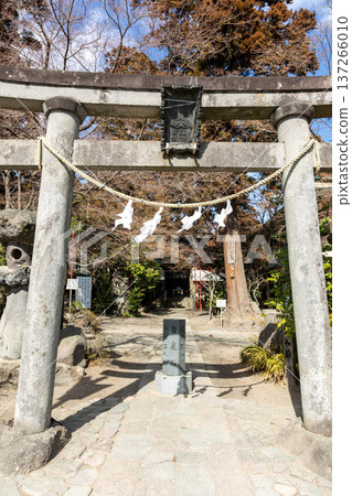 Shibukawa Hachiman Shrine 137266010