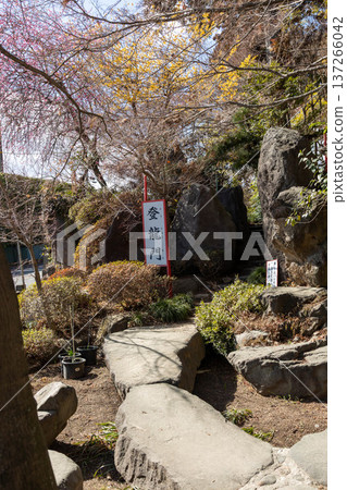Shibukawa Hachiman Shrine grounds, Shibukawa City, Gunma Prefecture 137266042