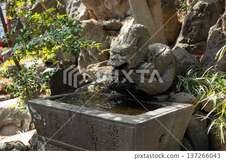Shibukawa Hachiman Shrine grounds, Shibukawa City, Gunma Prefecture Shibukawa Hachiman Shrine grounds, Shibukawa City, Gunma Prefecture 137266043