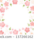 Cherry blossom frame Spring flower background illustration 137266162