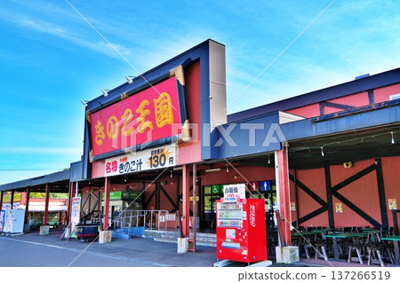 奇諾可王國二木店的景色 137266519