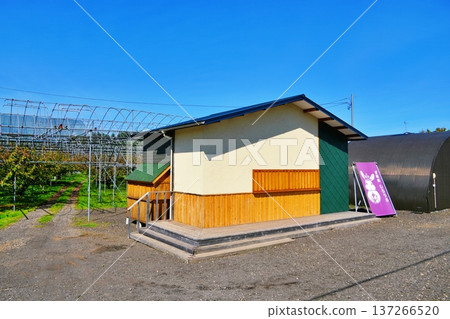 Sweets shop Shirousa 137266520