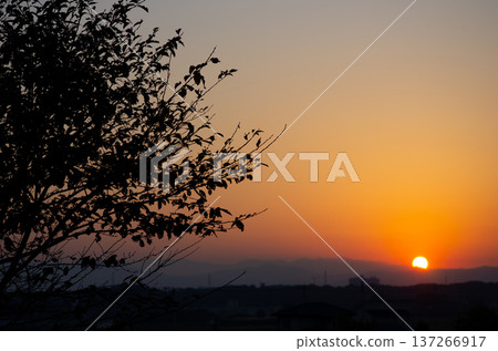 遠處的夕陽西下,從關東平原望去,天空一片緋紅。 遠處的夕陽西下,從關東平原望去,天空一片緋紅。 137266917