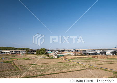 Spring rural scenery, Kyotanabe City, Kyoto Prefecture 137267222