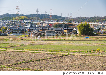 Spring rural scenery, Kyotanabe City, Kyoto Prefecture Spring rural scenery, Kyotanabe City, Kyoto Prefecture 137268031